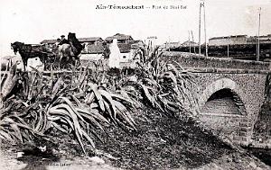 AIN-TEMOUCHENT - PONT DE BENI-SAF